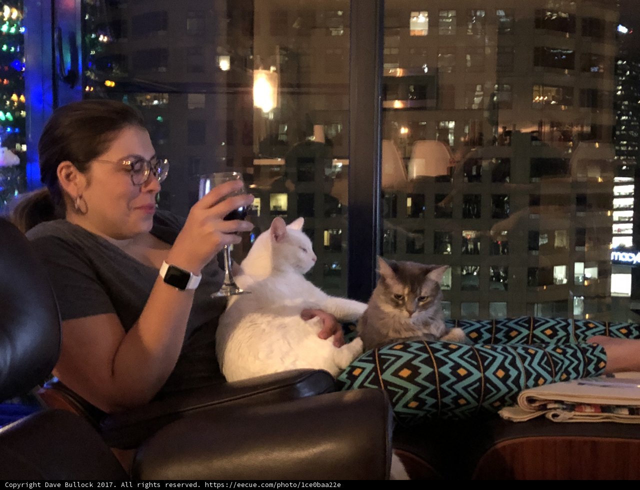 A Cozy Night In with Two Furry Friends