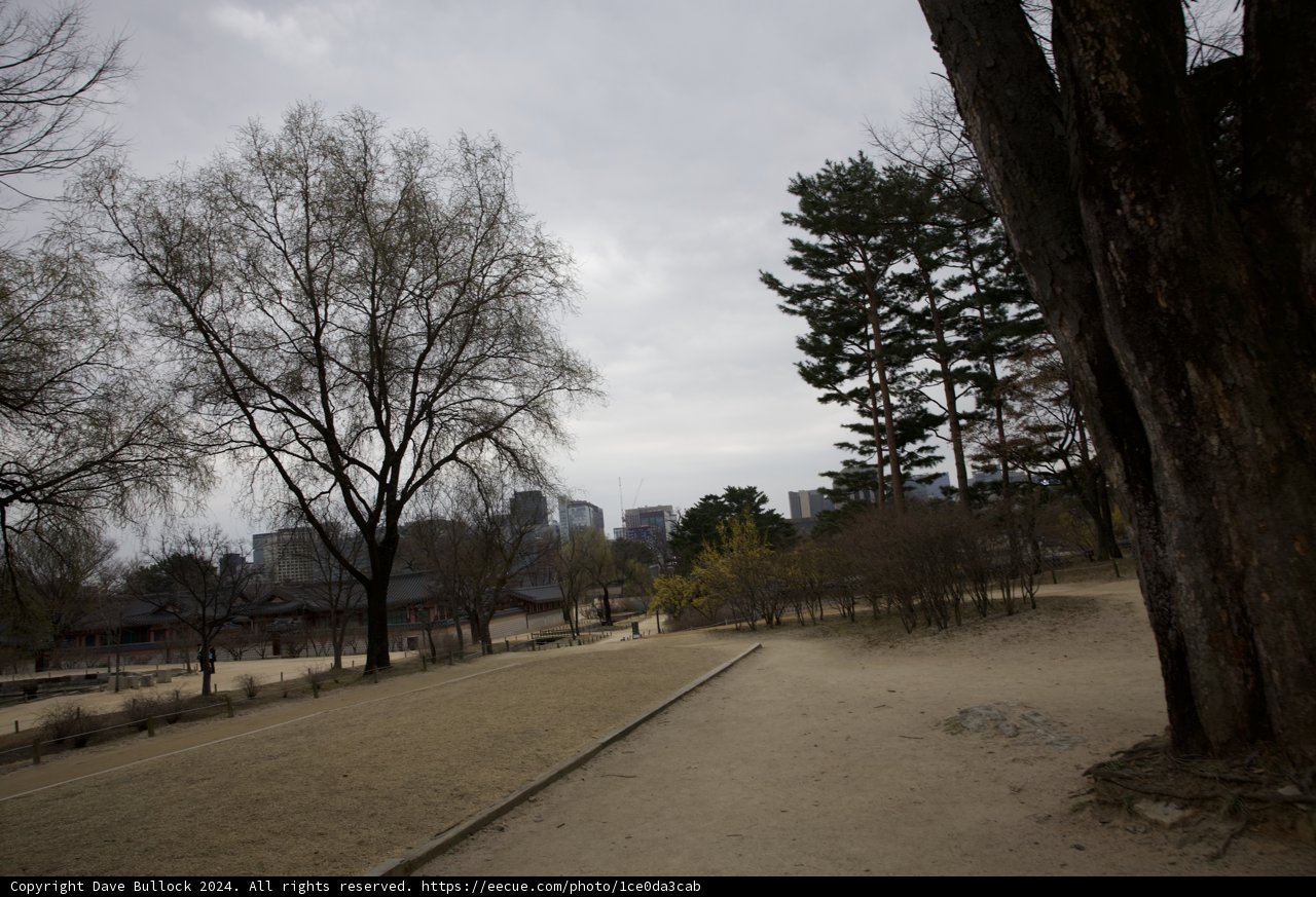 A Stroll through the Heart of Korea