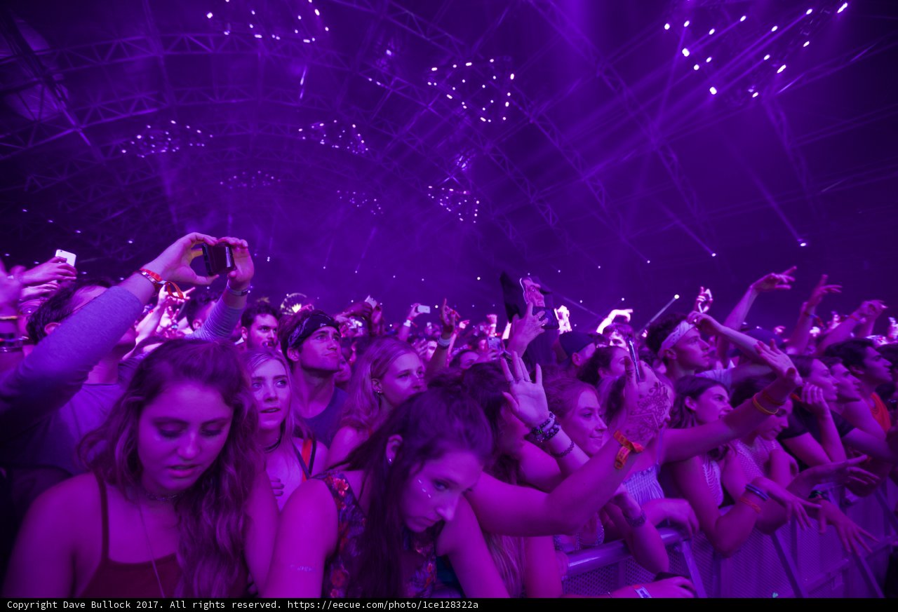 Purple Haze at the Urban Nightclub