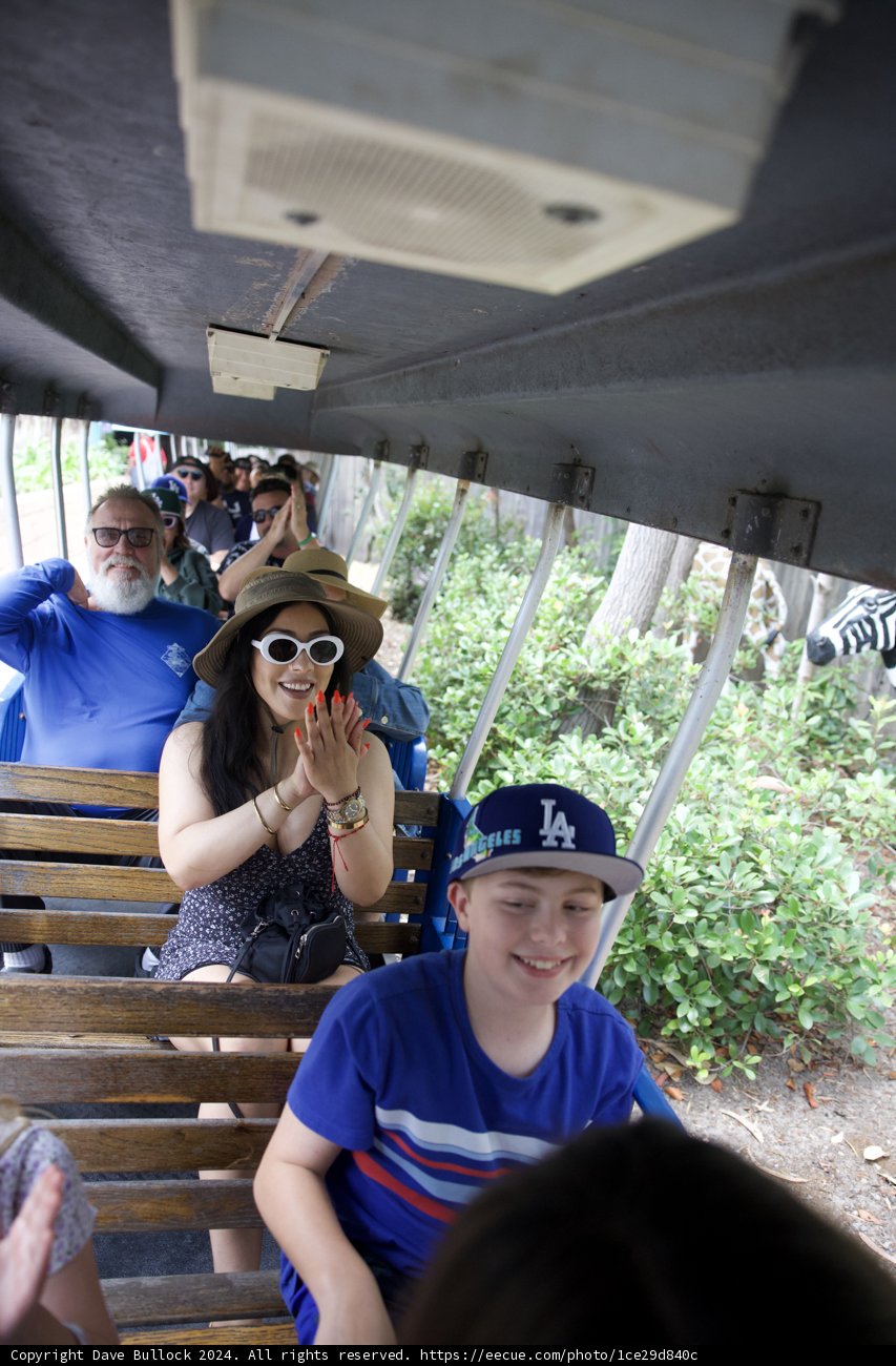 Safari Smiles