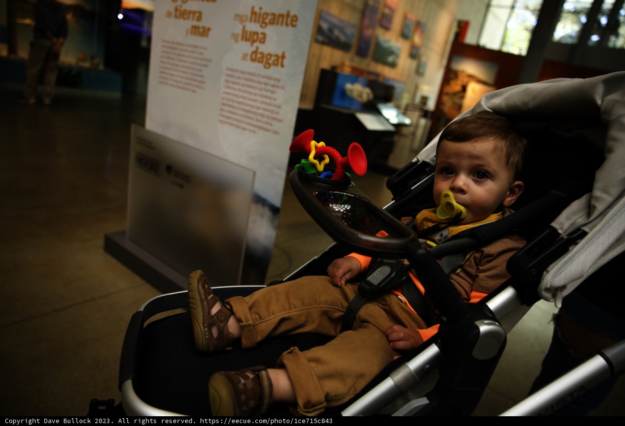 Little Explorer's Day Out