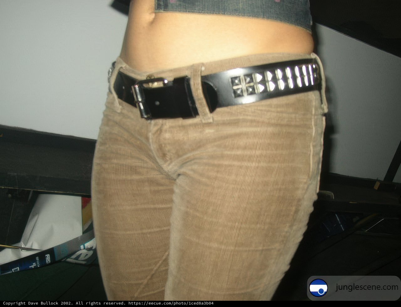 Silver Buckle Belt