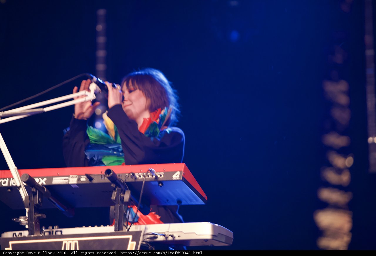 Live Performance at 2010 Cochella Concert