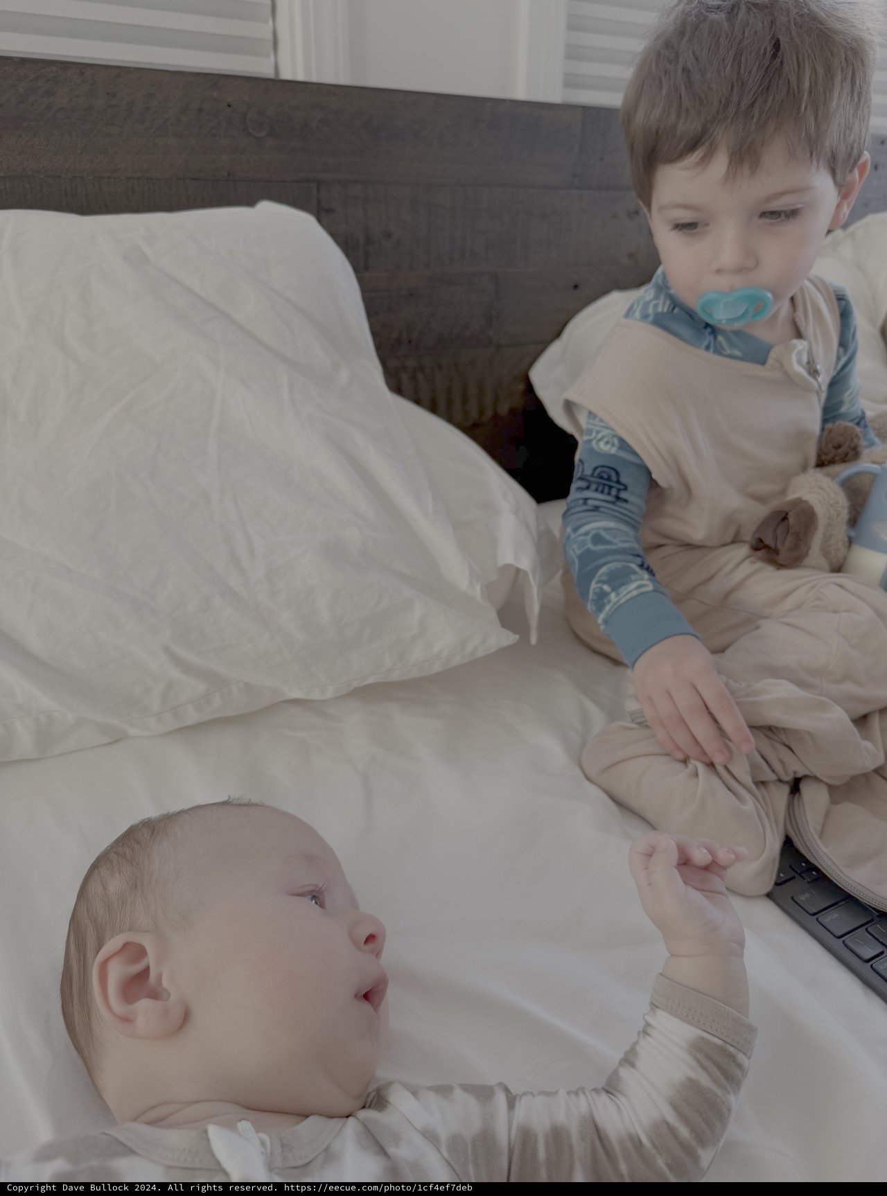 Baby and Toddler Siblings on White Bedding