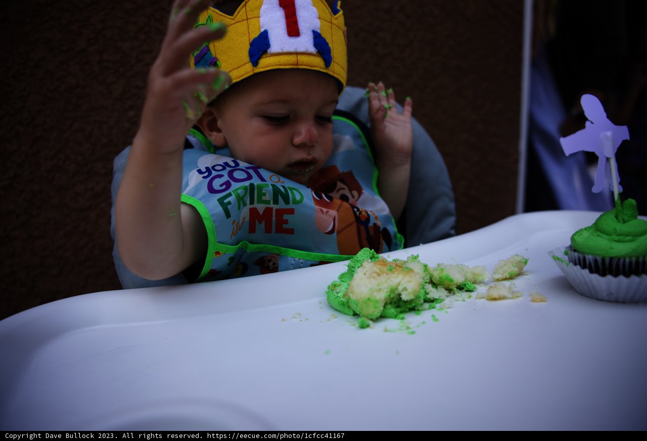King Wesley's First Birthday Bash!