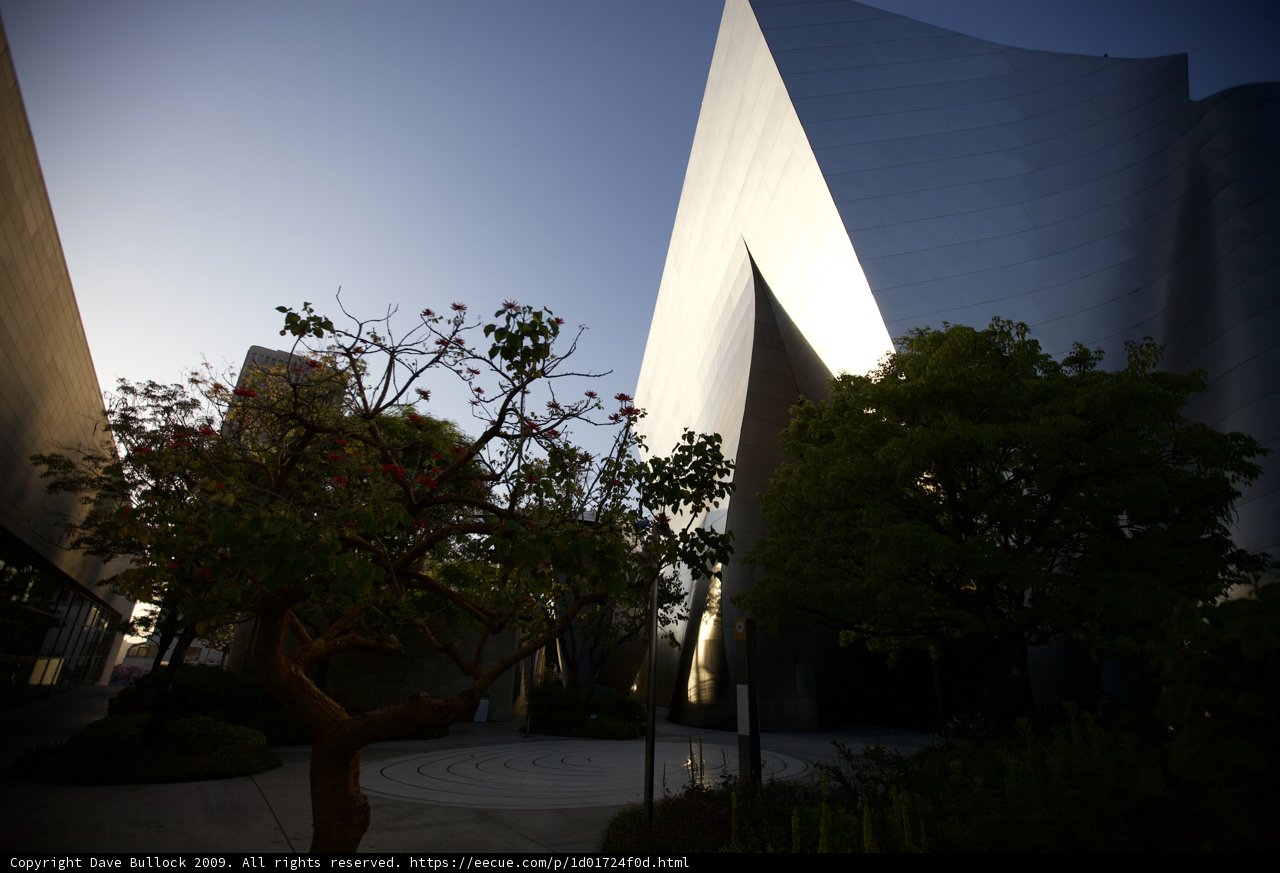 The Spectacular Walt Disney Concert Hall