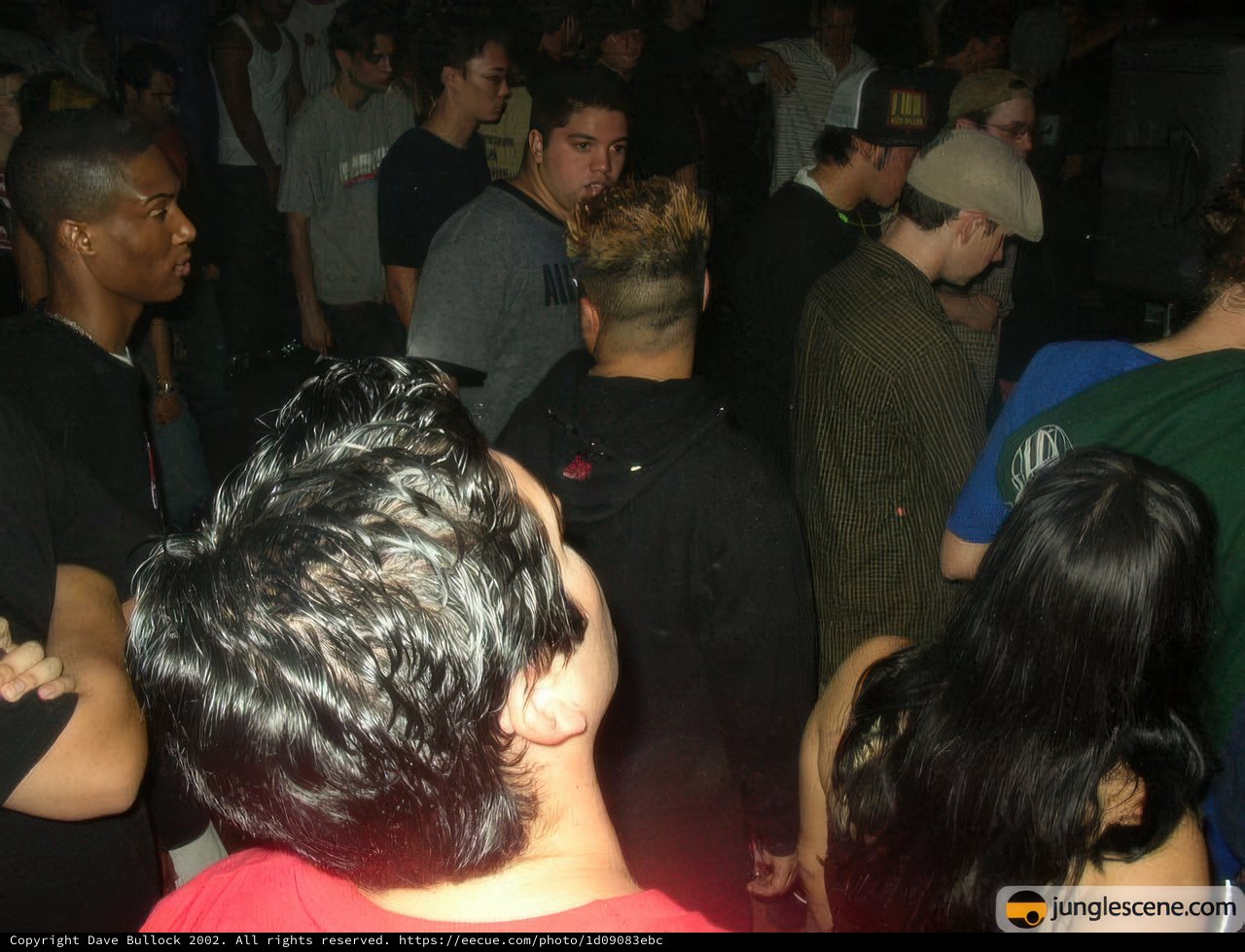 Nightclub Crowd