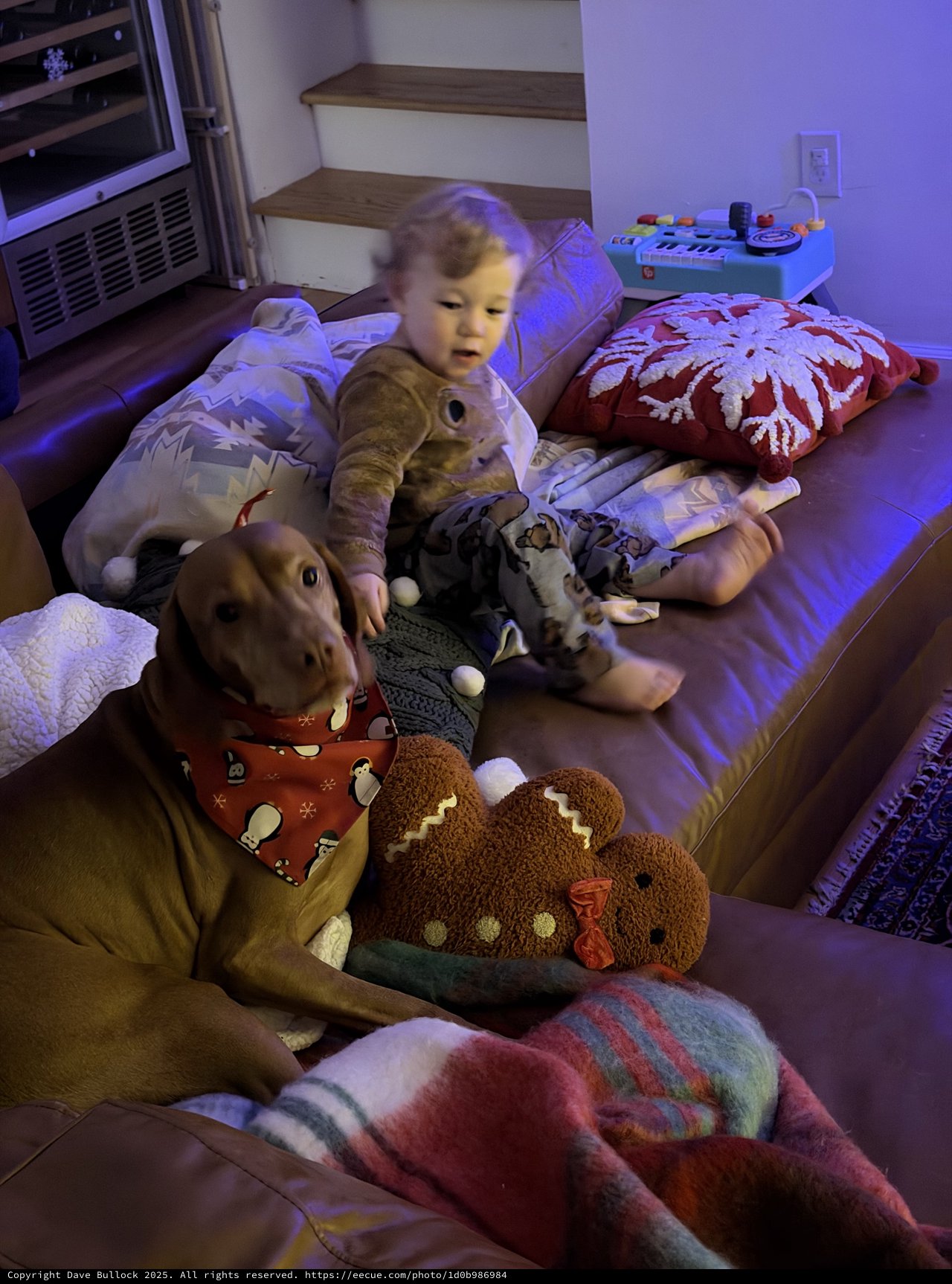 Cozy Morning Playtime with Stuffed Animals at Home
