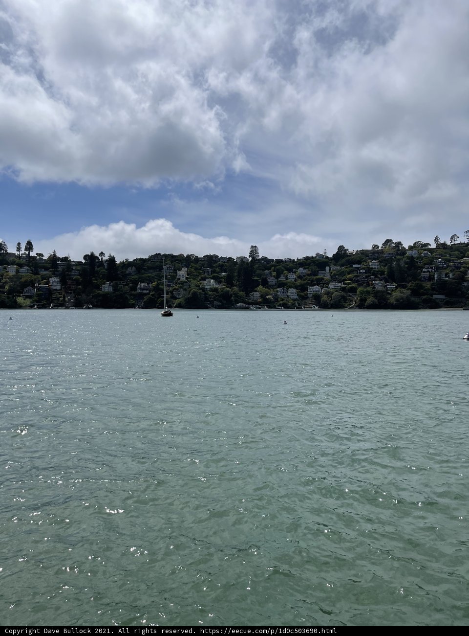 A picturesque boat ride in Raccoon Strait
