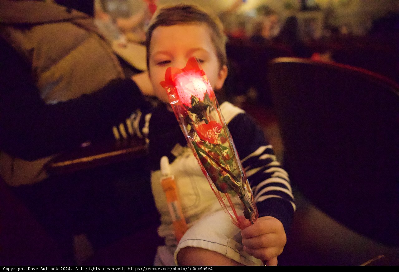 A Sweet Moment: Dessert Time at the Castro Theater
