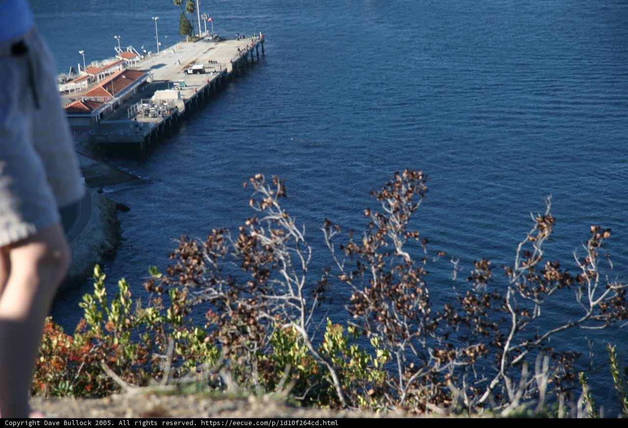 Overlooking the Waterfront