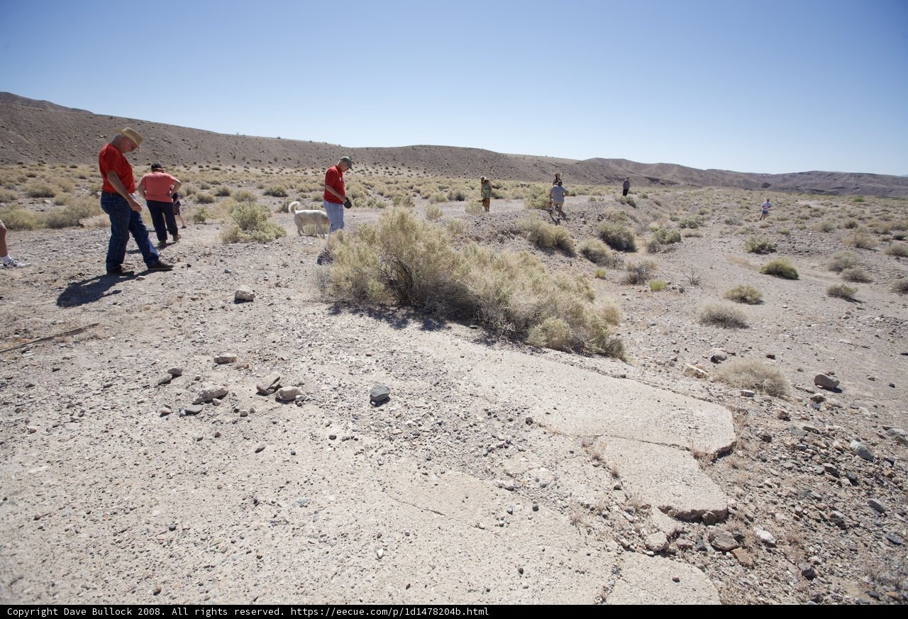 Exploring the Vast Desert