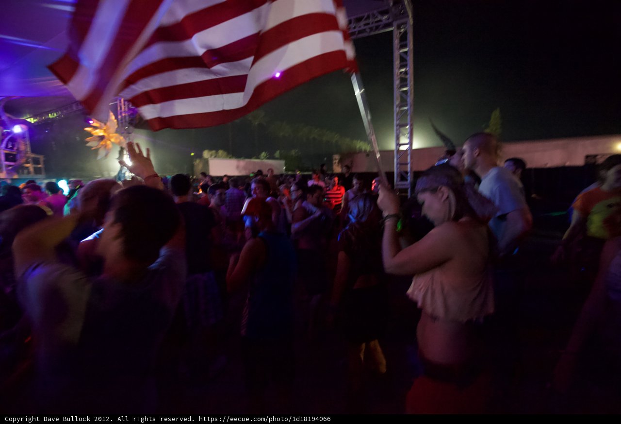 Patriotic Partygoers