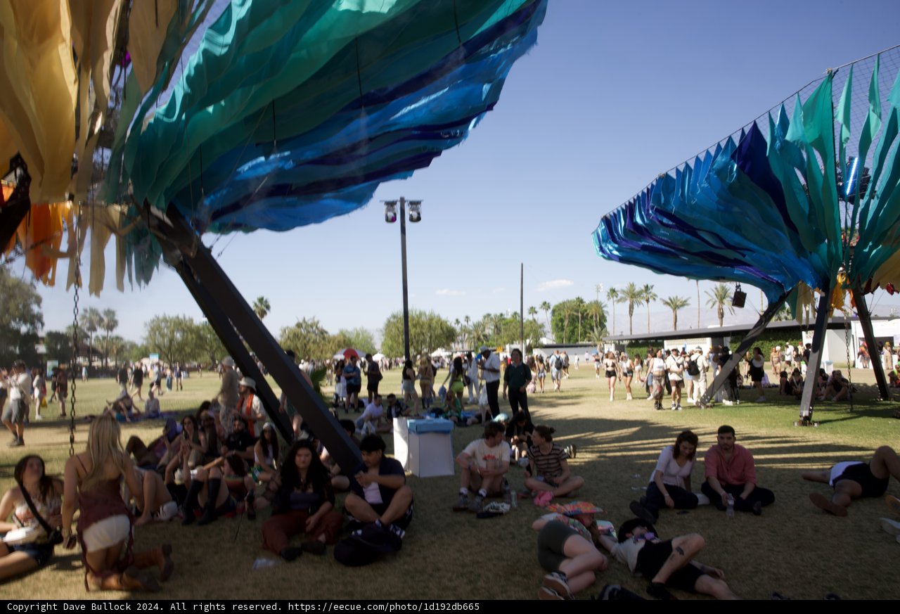 Summer Vibes at Coachella 2024