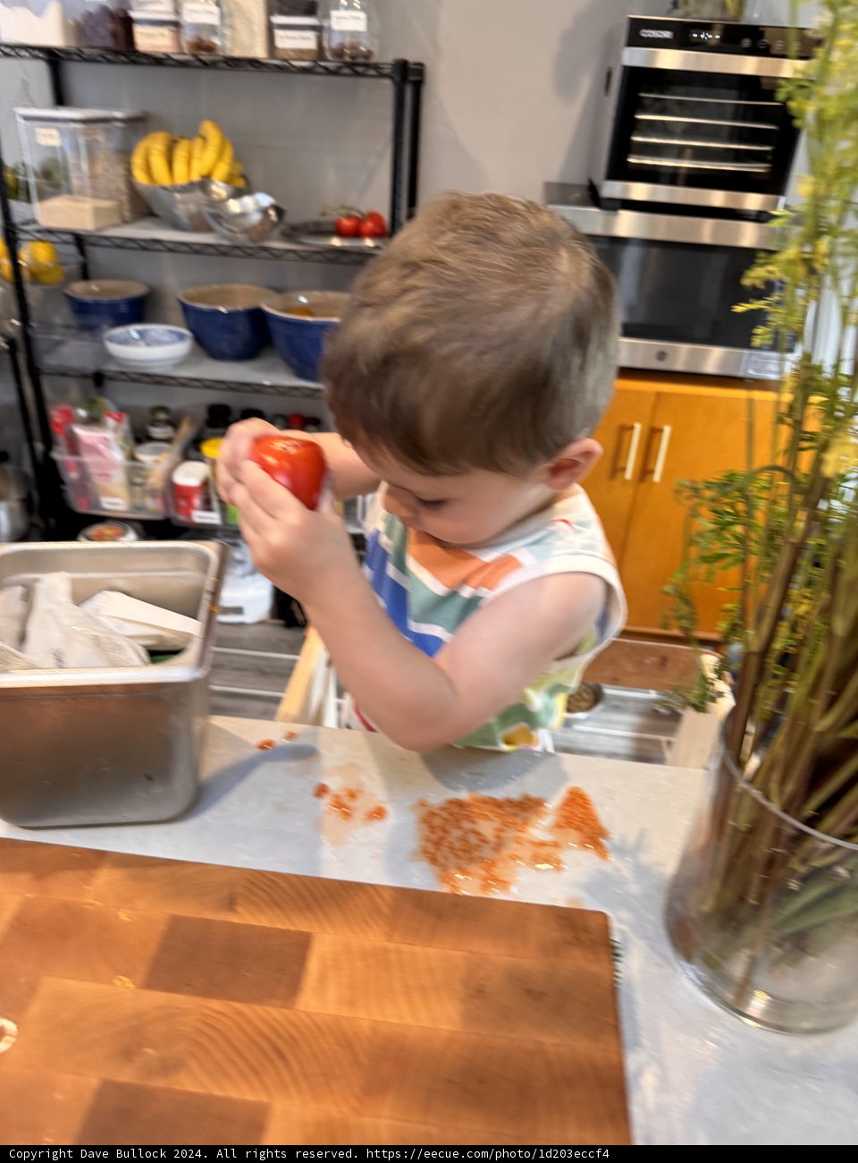 Kitchen Curiosity: Wesley's Apple Adventure