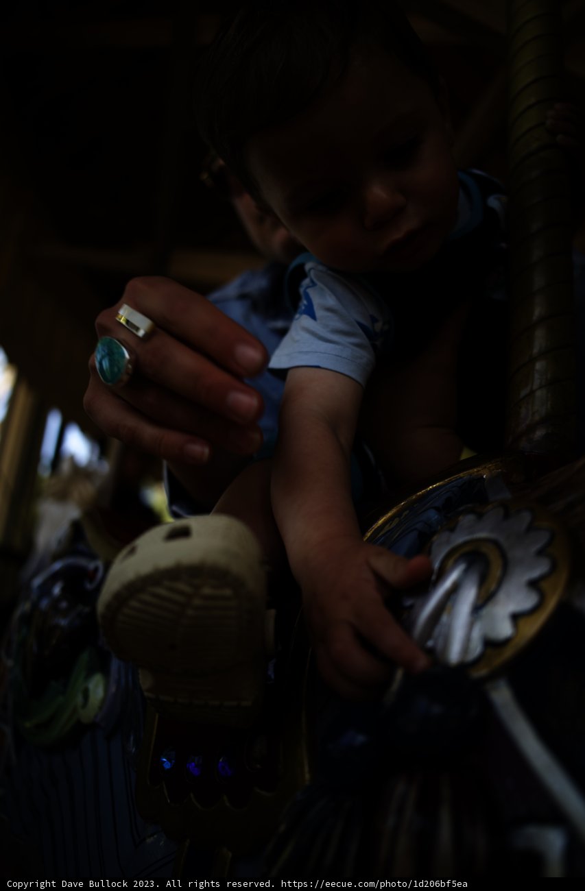 Carousel Joy