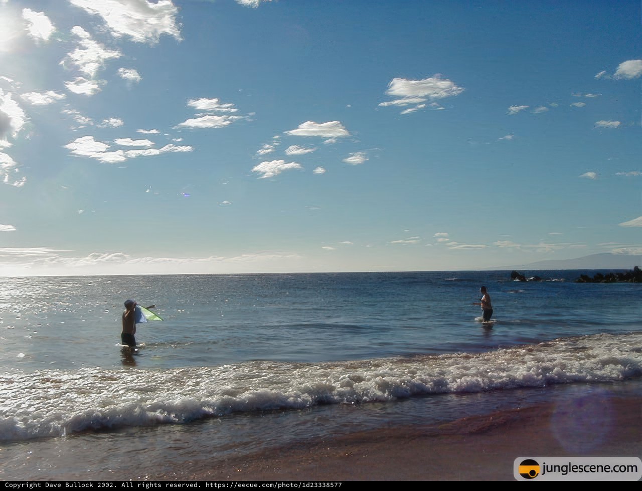 Surfing in Paradise