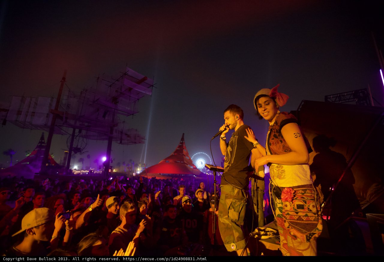 Robin Schulz and Evan Peters rock Coachella stage