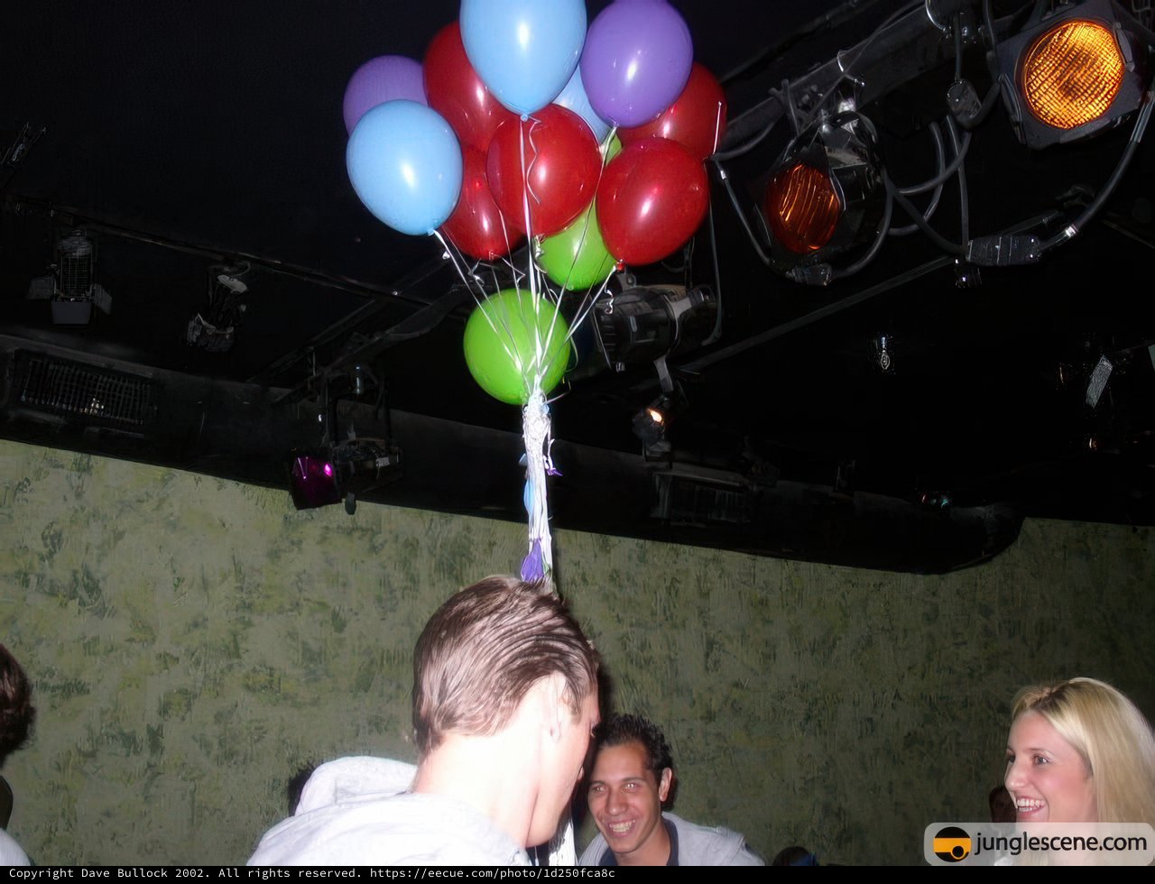 Balloon Bliss