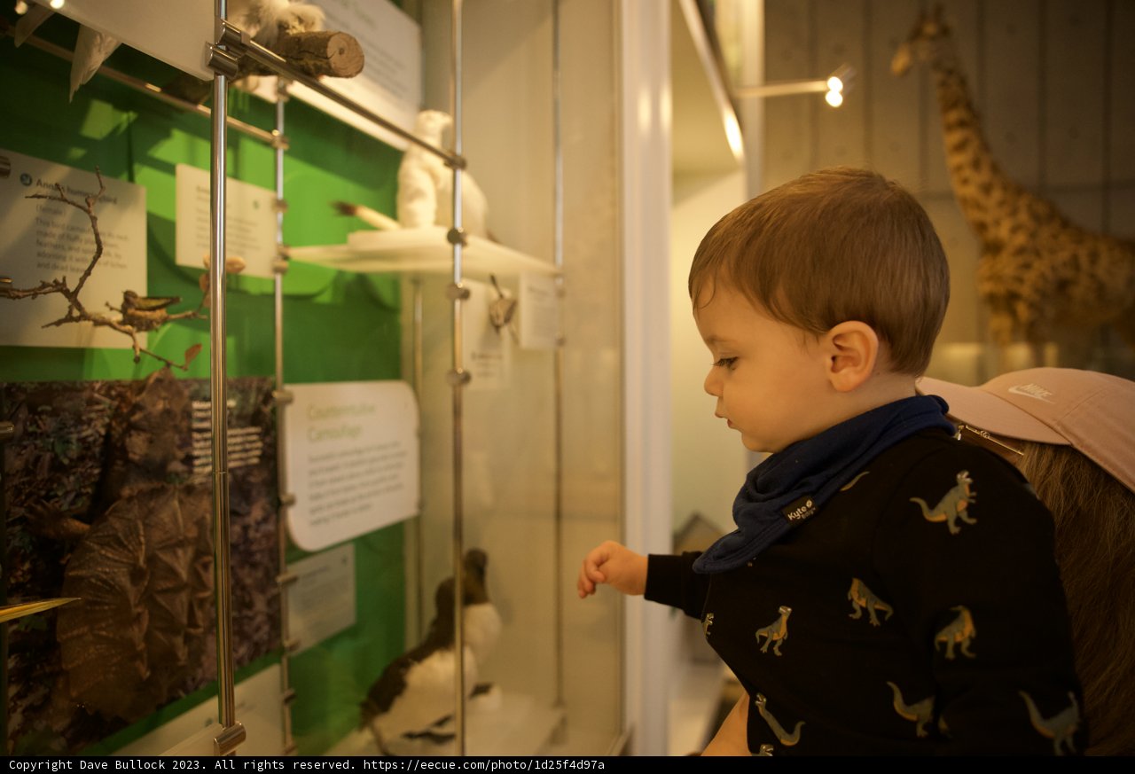 Curiosity Unleashed at the Museum