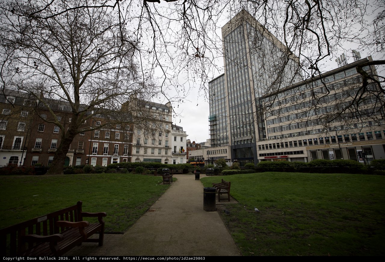 Bare Winter Trees Frame London Square on Overcast Day