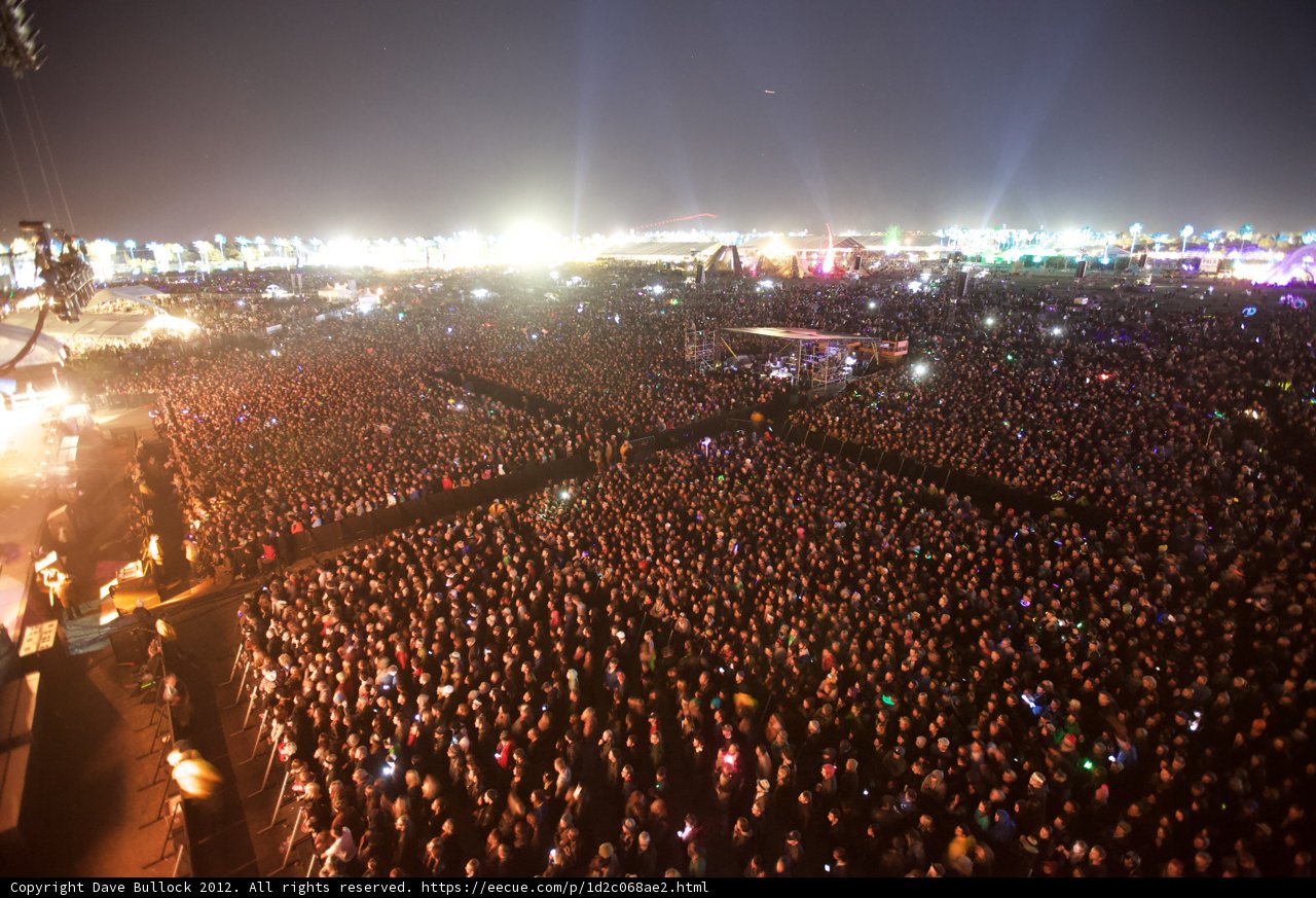 Coachella Nights