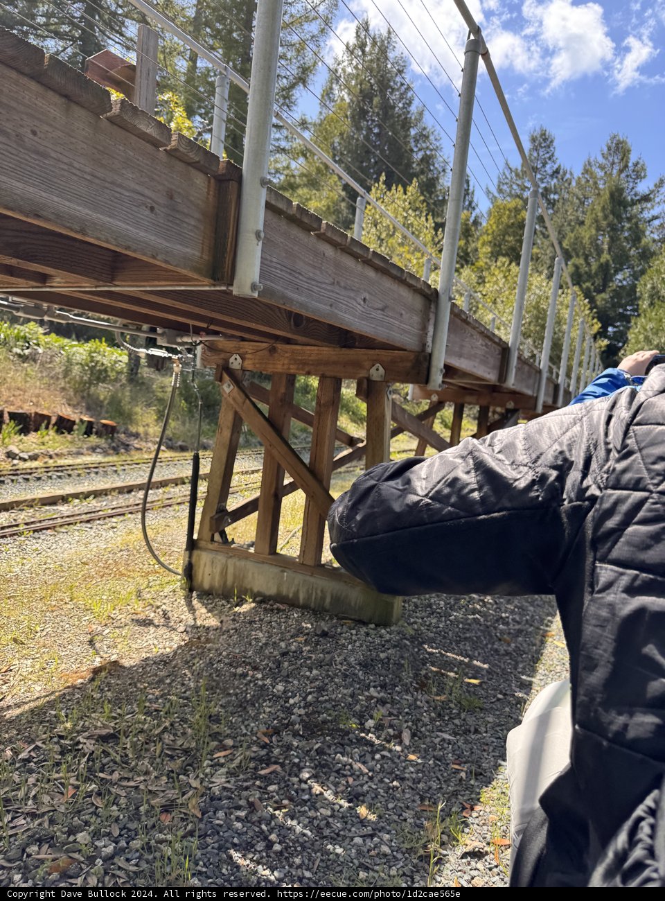 Exploring the Tracks