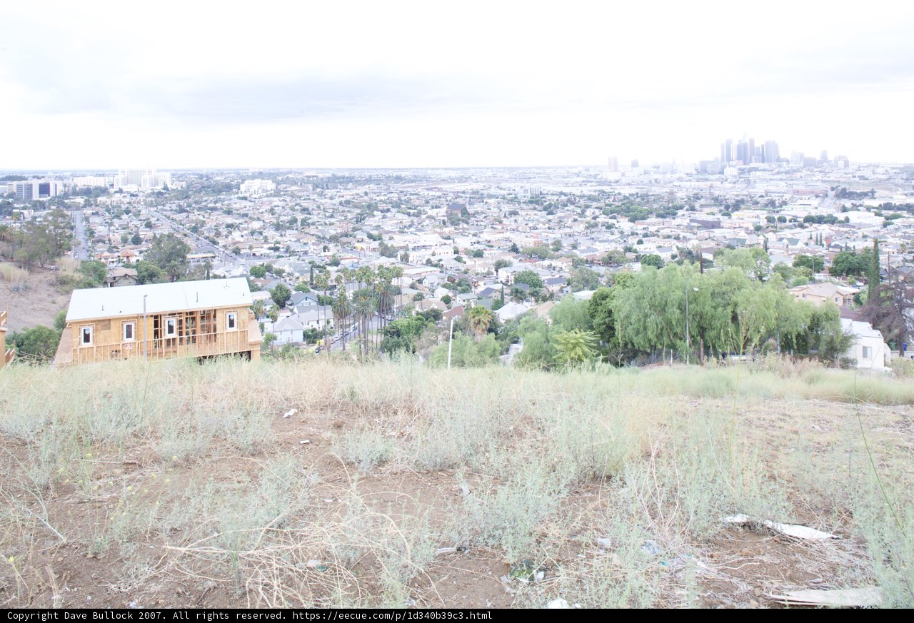 Sheltered City View