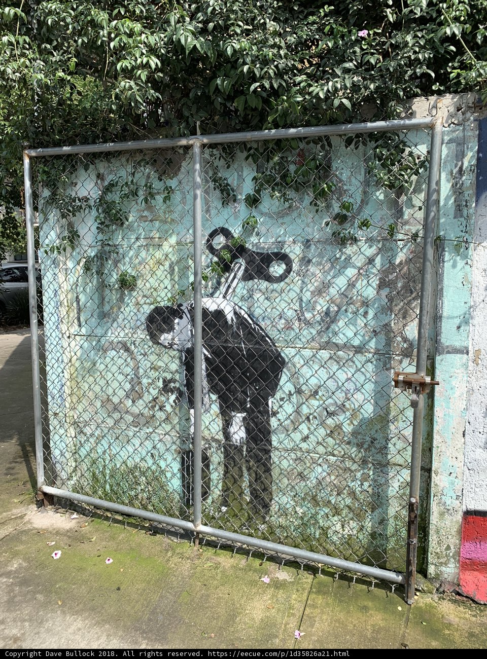 Street Art and a Furry Companion