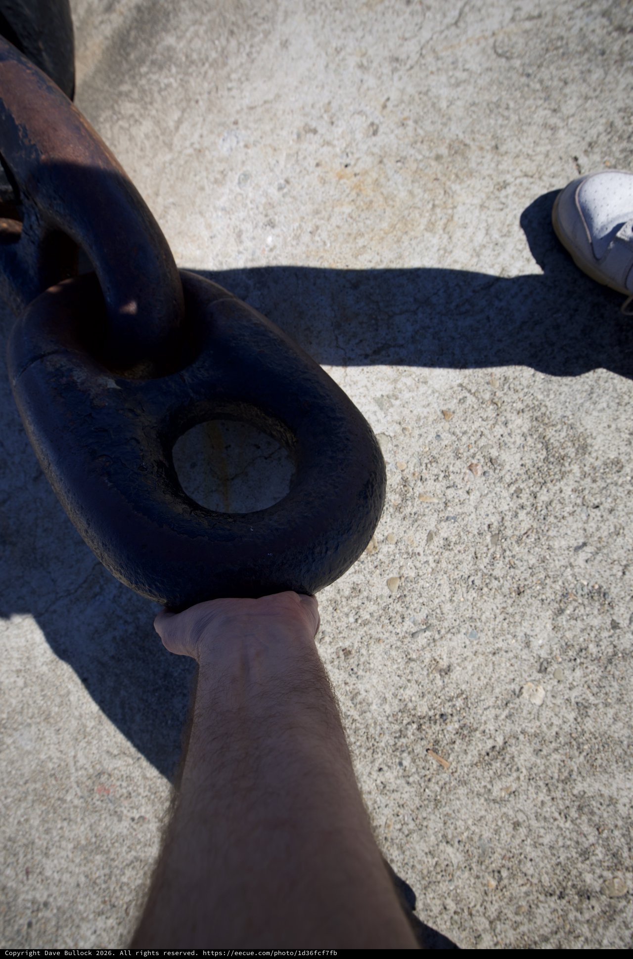 Chain Link and Shadow on the USS Hornet Deck