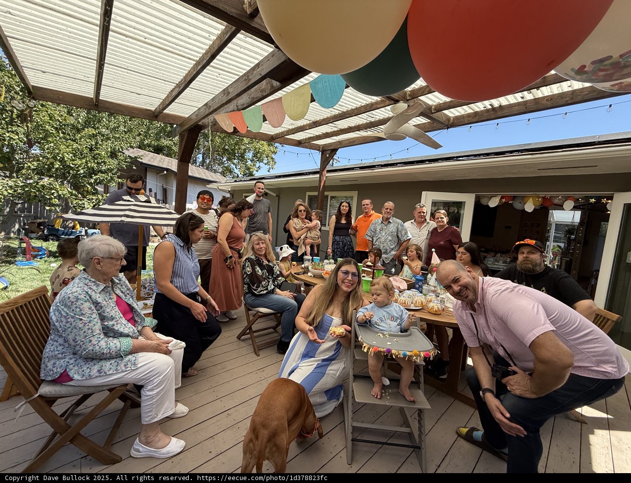 Joyful Gatherings Under the Summer Canopy