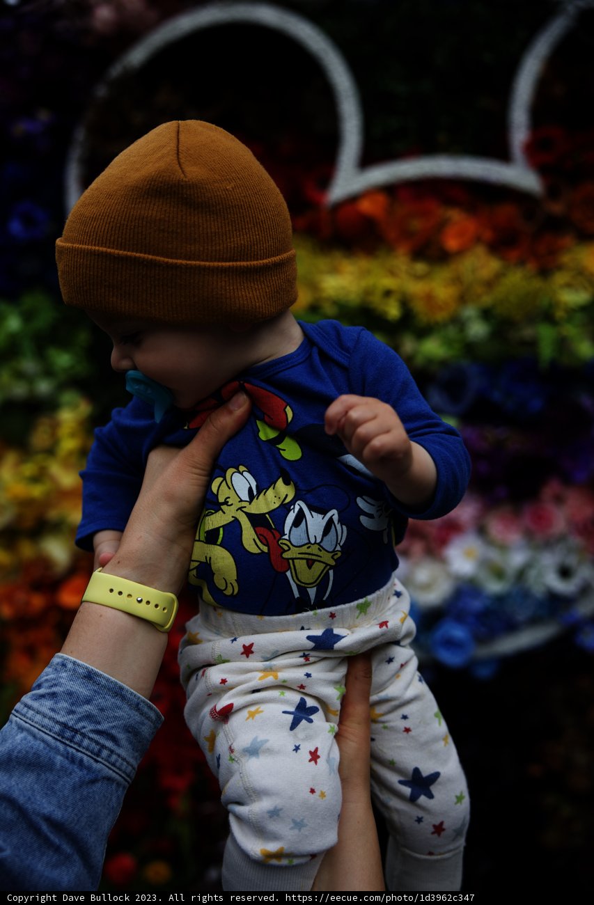Stylish Baby at Disneyland