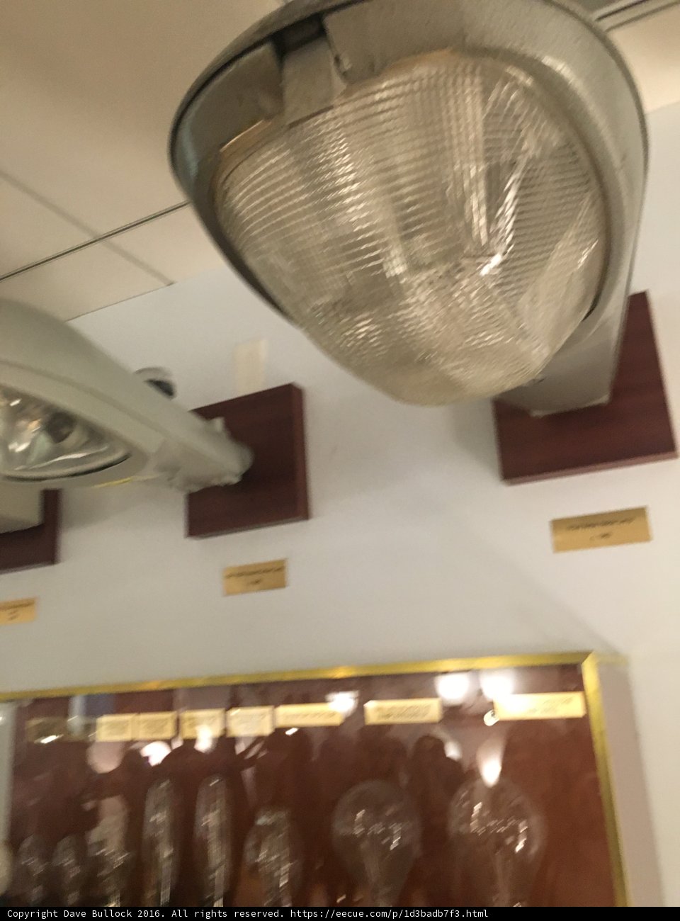 Illuminating Elegance
