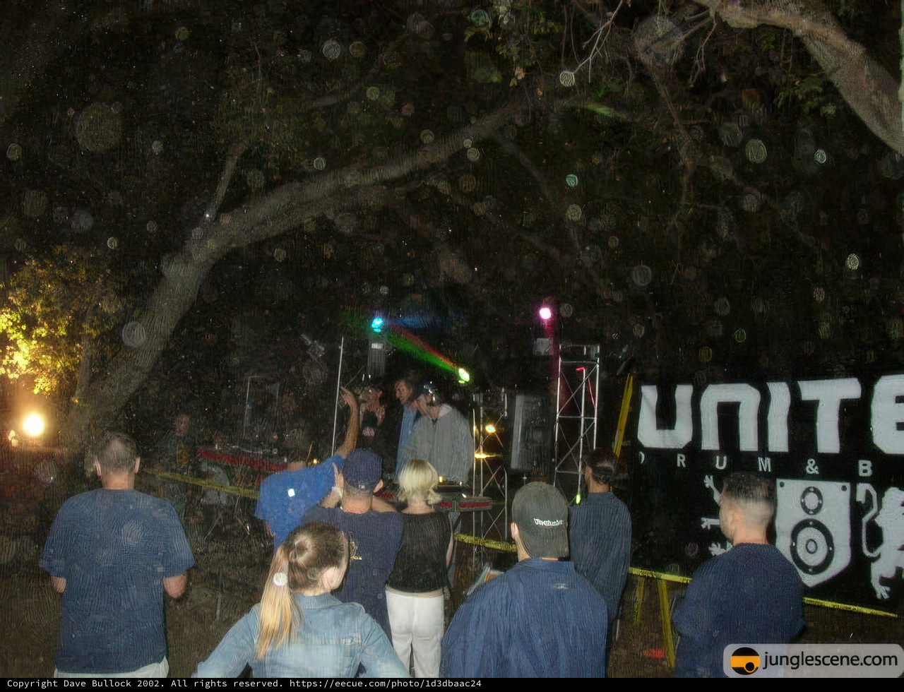Summer Concert Under the Night Sky