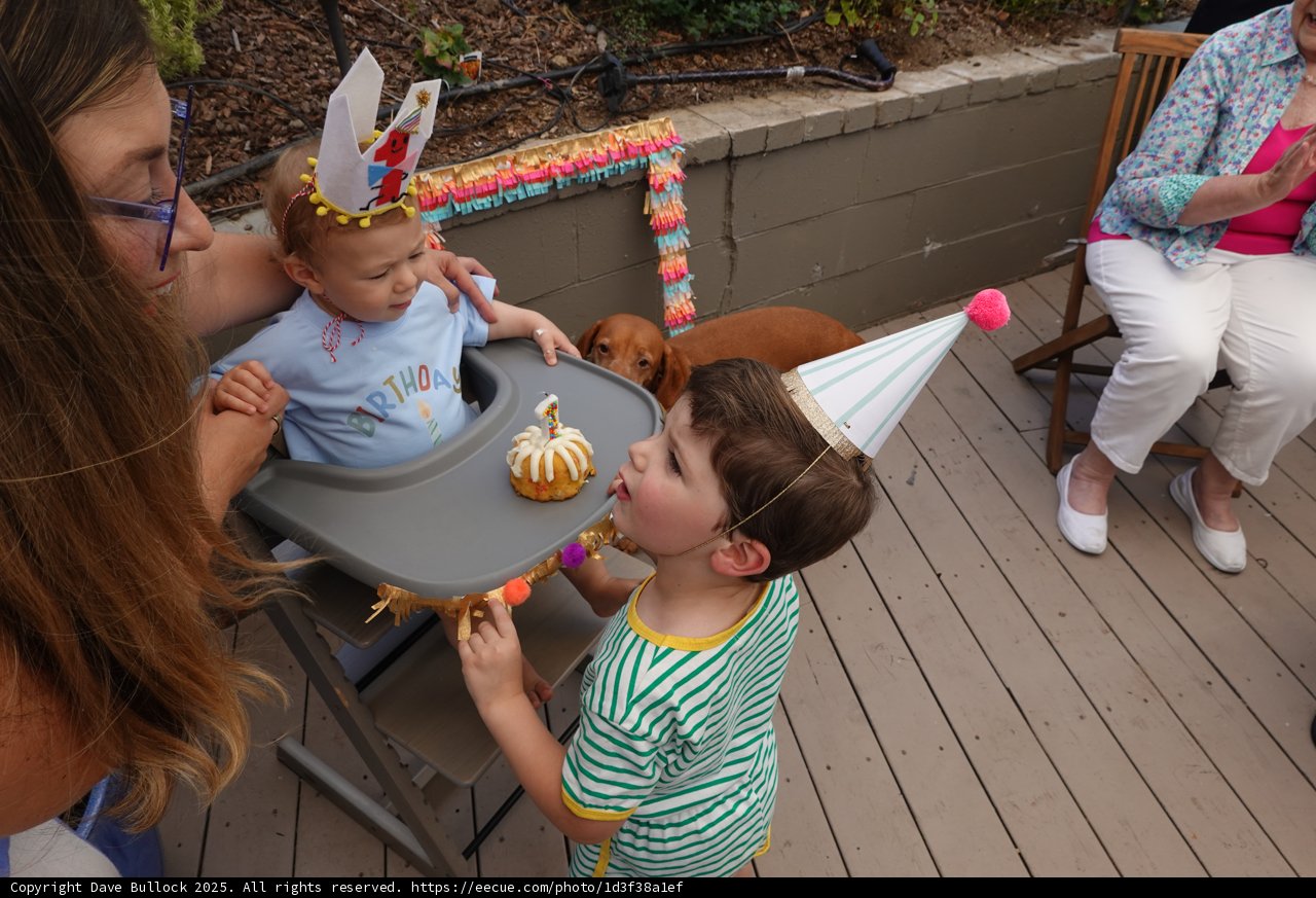 First Birthday Delight