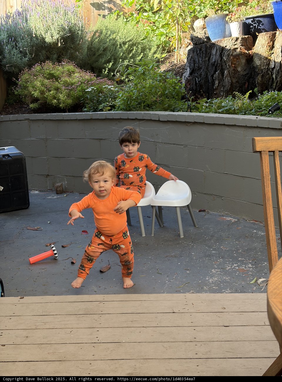 Playful Moments in the September Sun