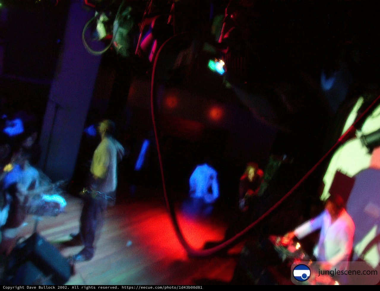 Nightclub Performance
