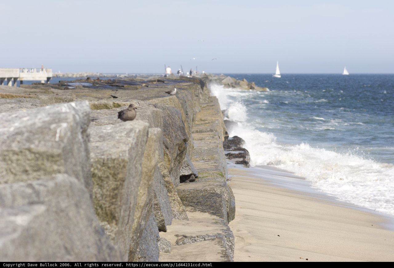 Birds on a Promontory