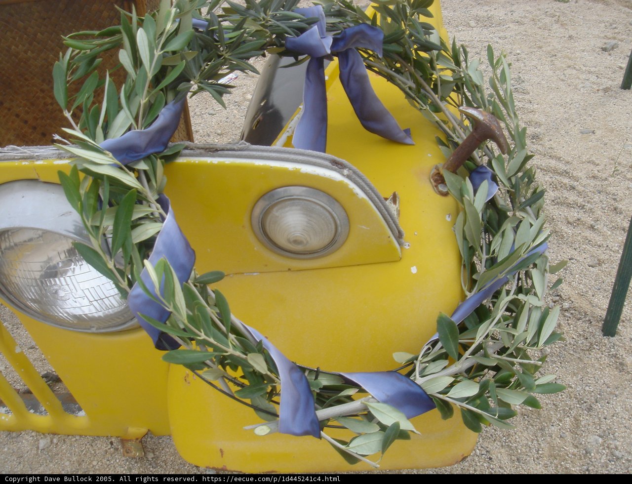 Olive Branches on the Go