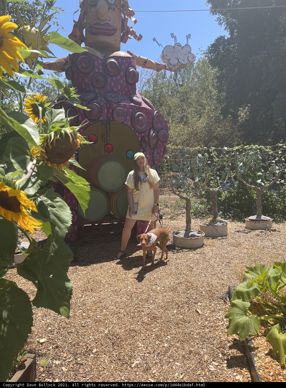 Woman and Dog Enjoying Art in a Park Garden