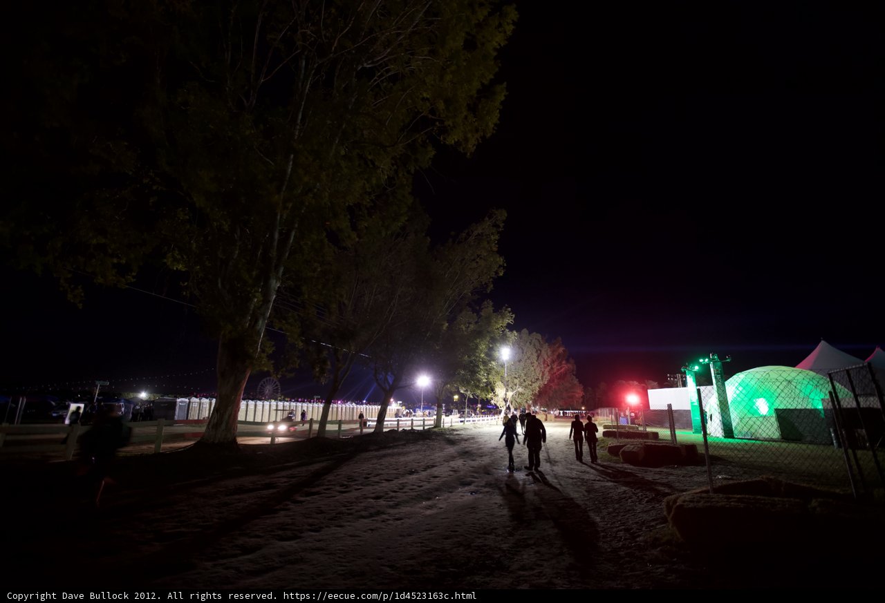 Night Walkers among the Trees