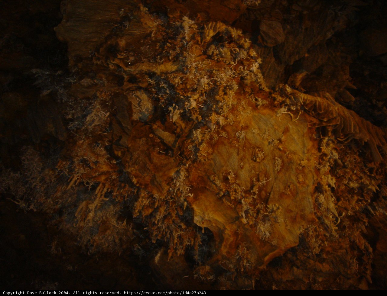 Nature's Brushwork