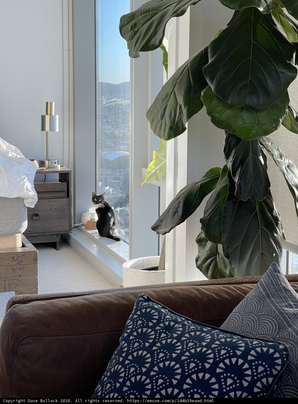 The Cozy Cat Corner