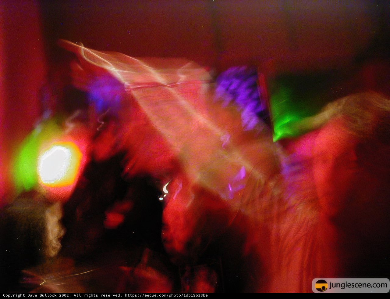 Dance Party at the Night Club