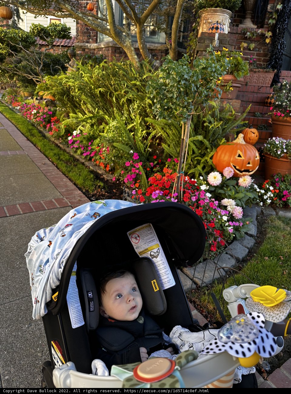 Baby's Day Out