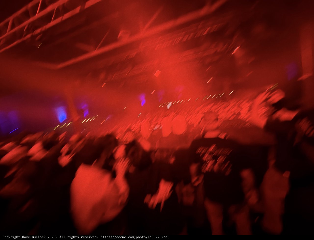 Immersed in Red Light: Concert Crowd Energy