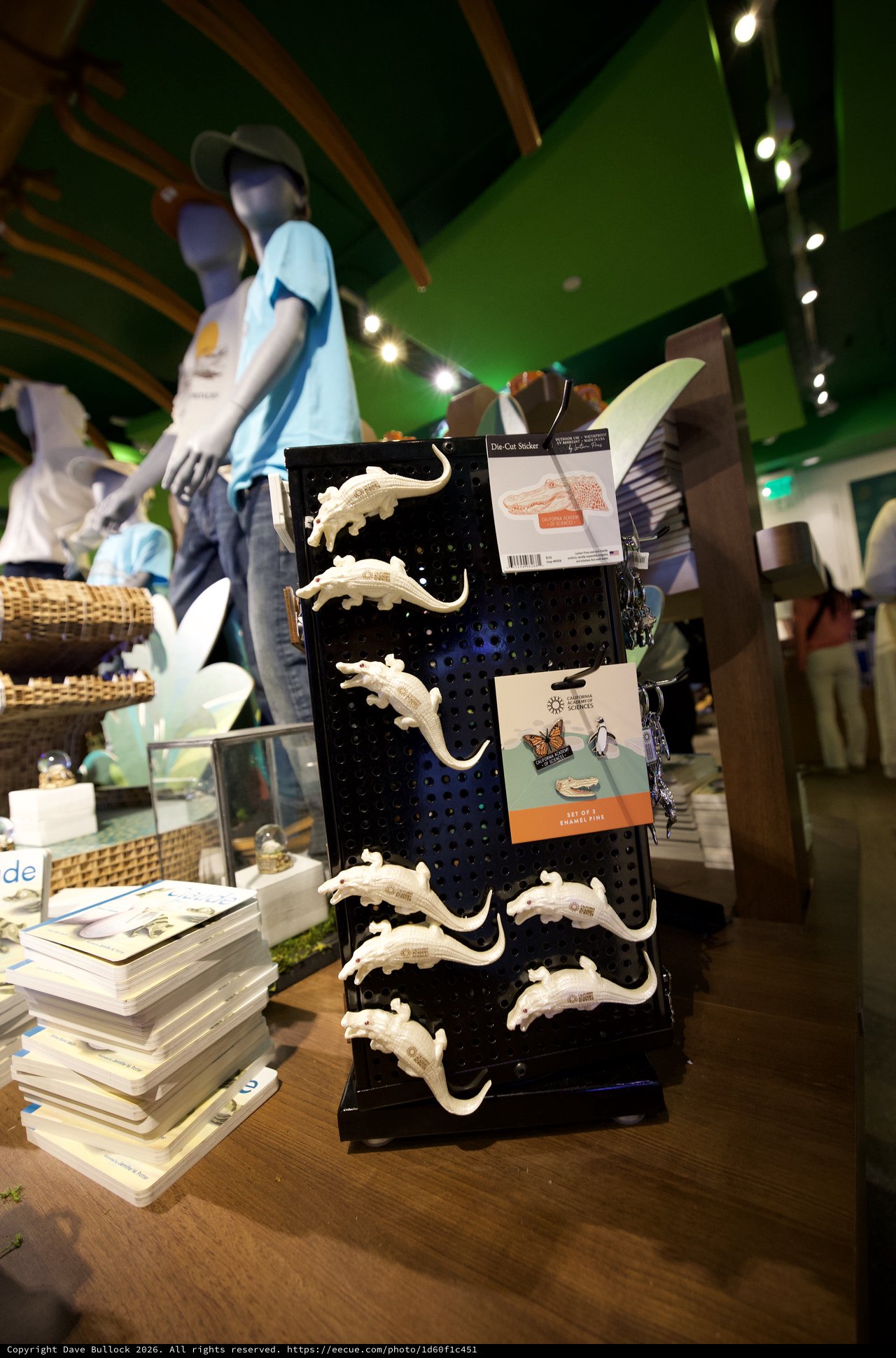 White Gecko Figurines Display in Museum Gift Shop