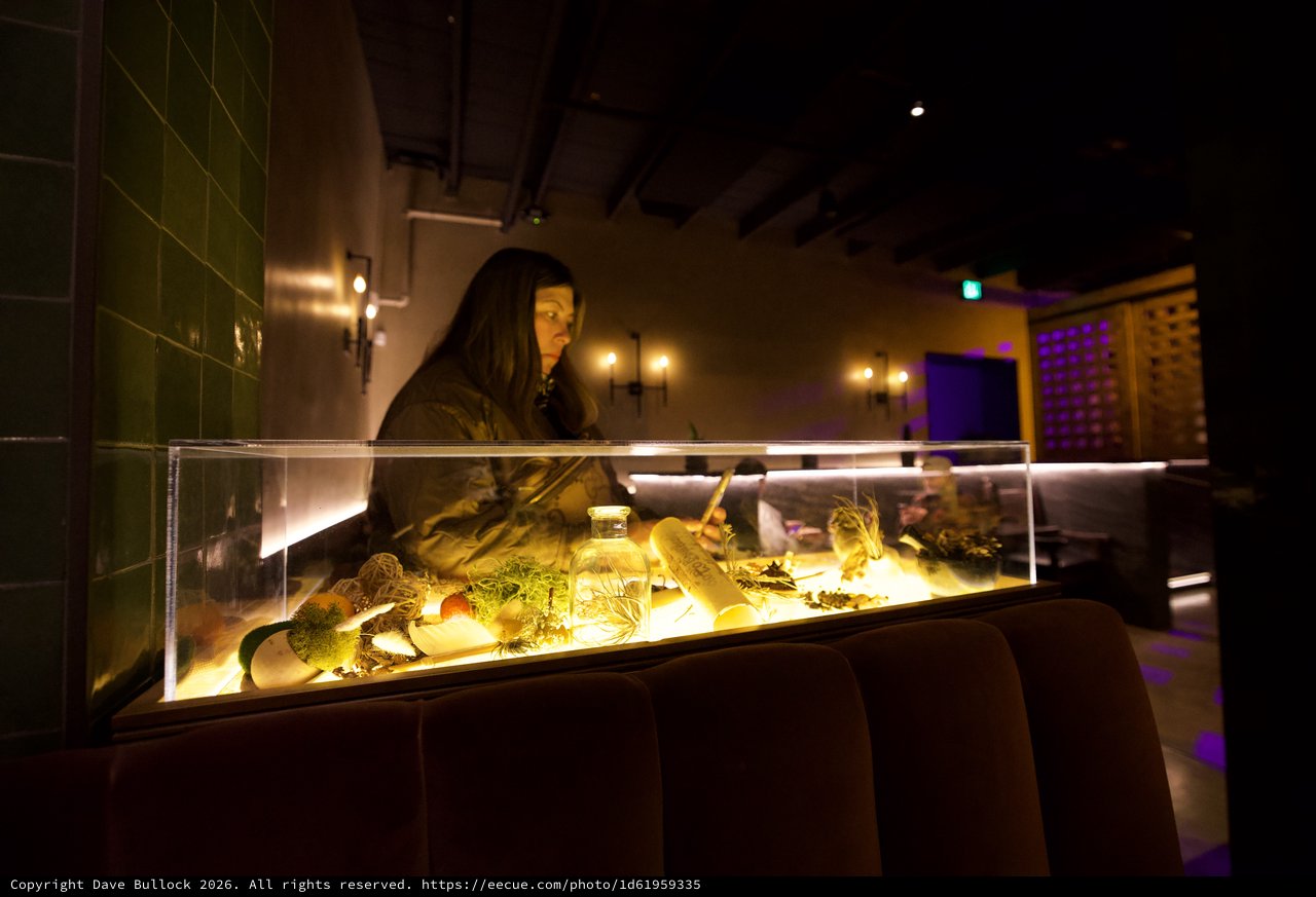 Woman Observing Illuminated Natural History Display Case