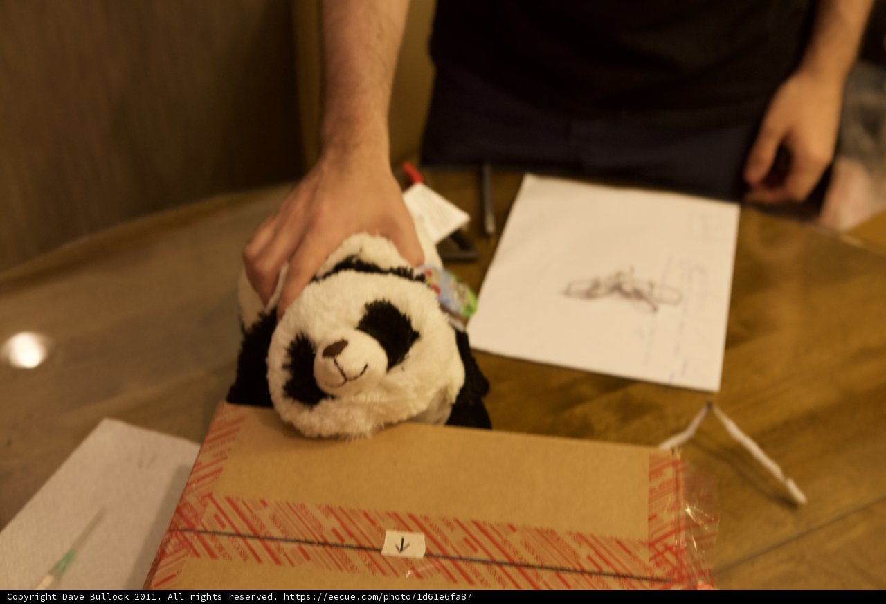 Man and His Stuffed Panda