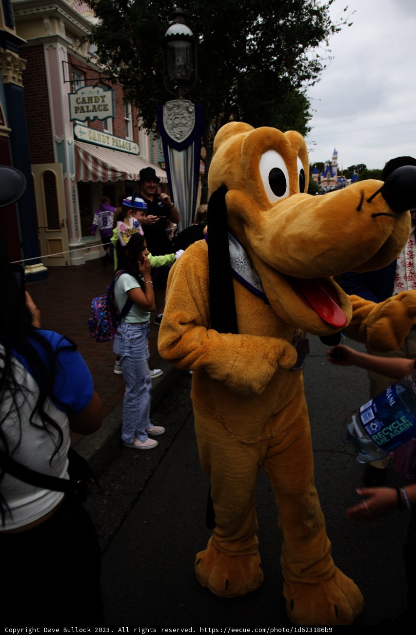 A Colorful Day in Disneyland